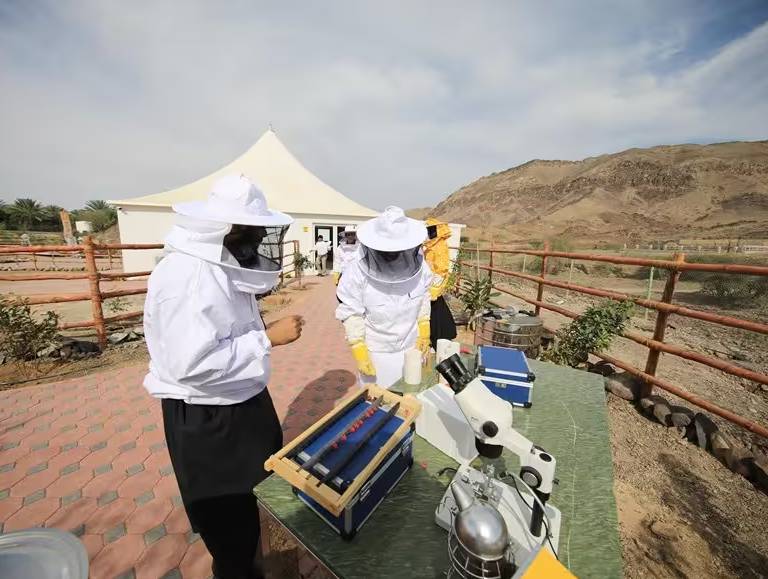 Honigfest Hatta 2023