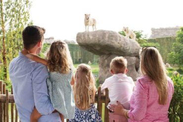 Dubai Safari Park. Eine glamouröse Schnittstelle der Unterhaltung