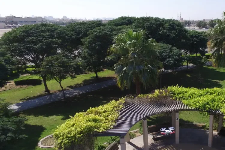 حديقة البرشاء افضل الاماكن السياحية في دبي للشباب