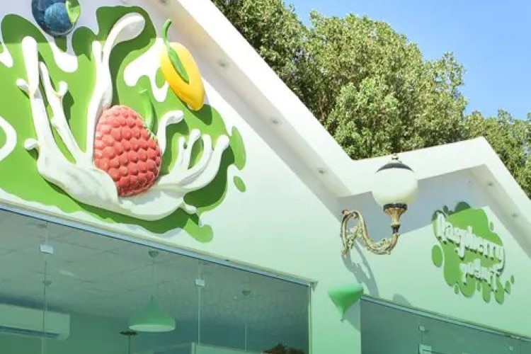 حديقة دبي المعجزة: تجربة فريدة بين جمال الزهور والأنشطة الترفيهية 6 البازار المحلي في حديقة دبي المعجزة