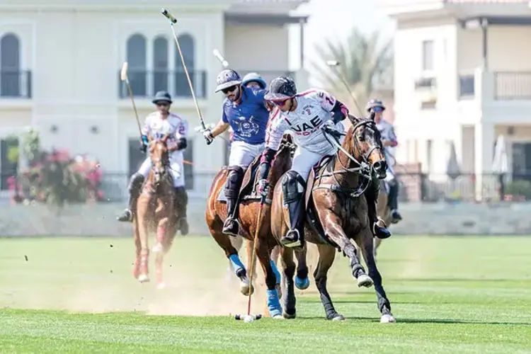 الفعاليات الرياضية