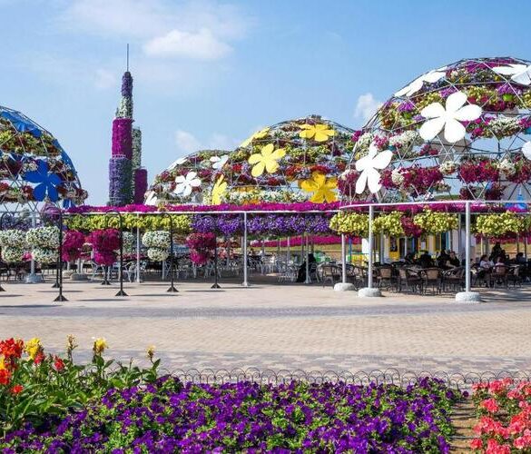 حديقة دبي المعجزة