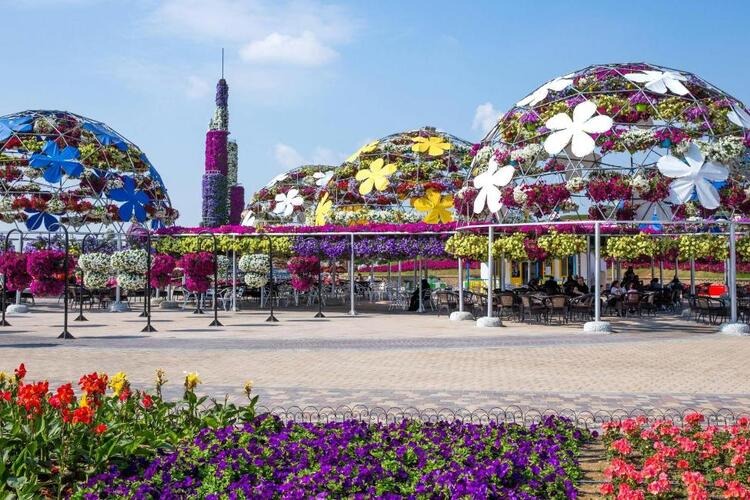 حديقة دبي المعجزة: تجربة فريدة بين جمال الزهور والأنشطة الترفيهية 1 حديقة دبي المعجزة