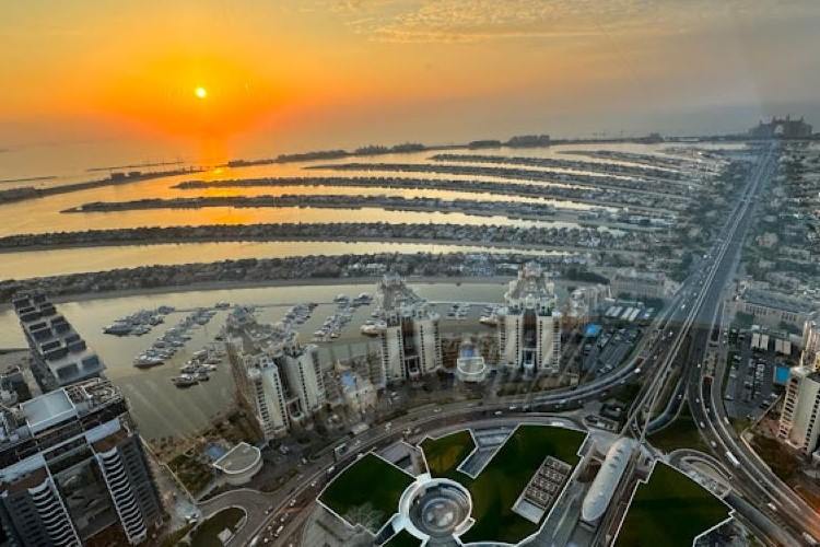 الجامعات والمدارس في نخلة الجميرة