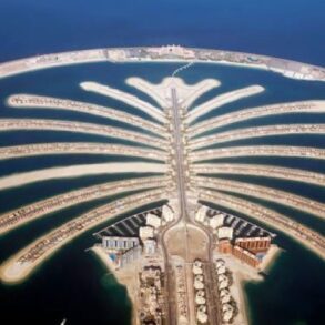 نبذة عن نخلة الجميرة