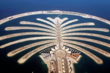 نبذة عن نخلة الجميرة