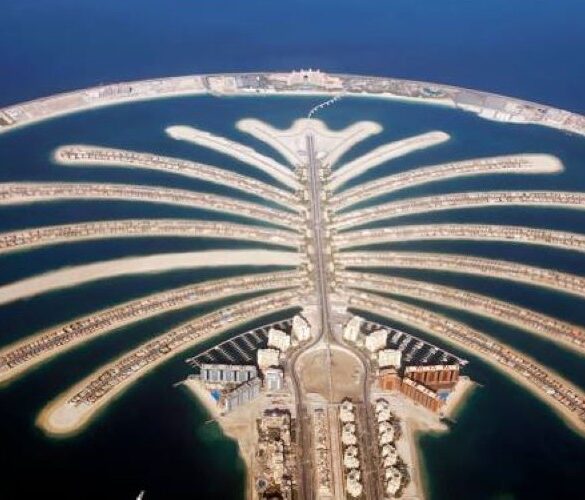 نبذة عن نخلة الجميرة