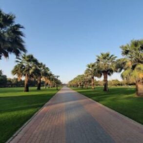 حديقة الممزر دبي 22 حديقة الممزر دبي