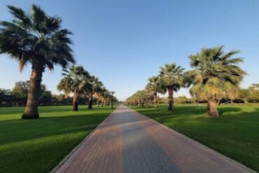 حديقة الممزر دبي