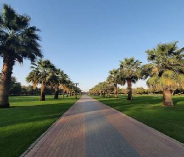 حديقة الممزر دبي