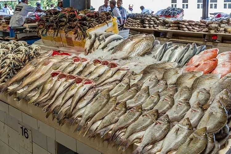 أقسام سوق السمك دبي