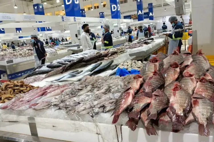 سوق السمك دبي جميرا