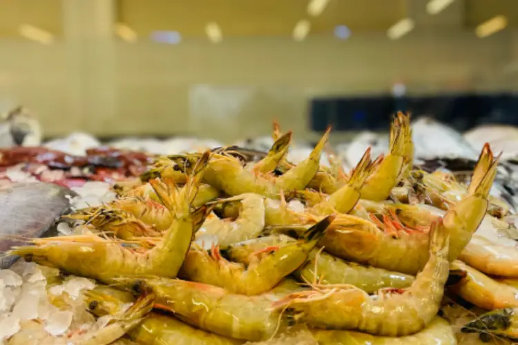 سوق السمك دبي