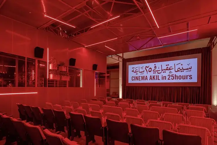 نبذه عن سينما عقيل