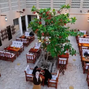 أفضل المقاهي الشعبية في دبي