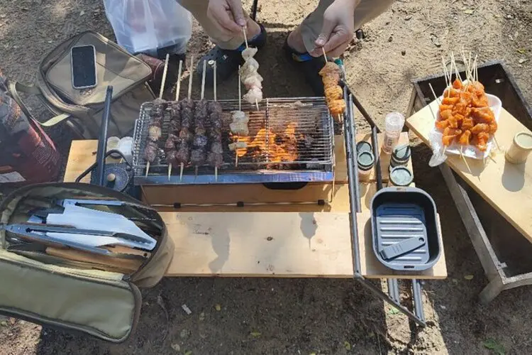 حديقة شاطئ الممزر: وجهتك المثالية للترفيه والاستجمام في دبي 8 النزهة والشواء في حديقة الممزر