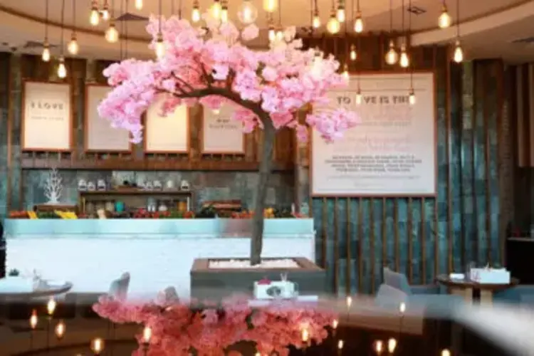 besten Cafés in Dubai-Bounty Bits