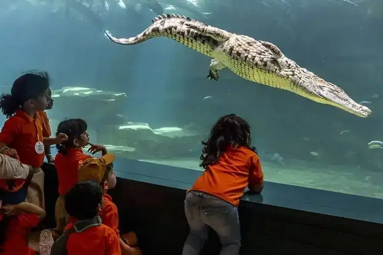 تعليم تفاعلي وجولات ميدانية في حديقة التماسيح