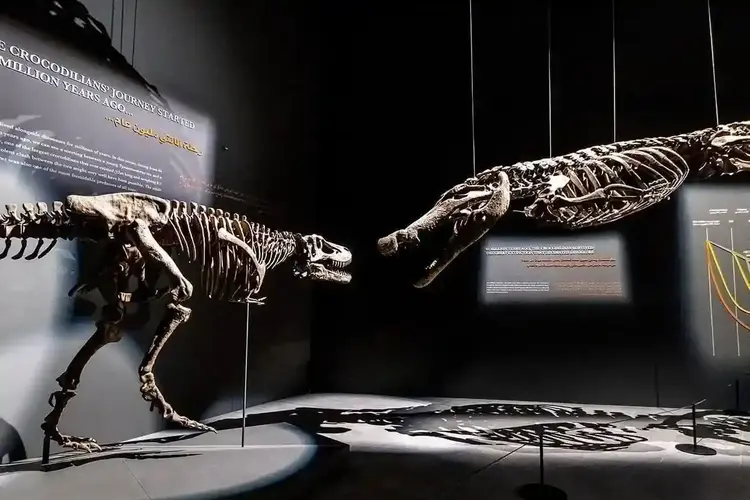 رحلة عبر الزمن في المتحف