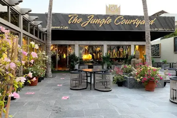 كافيه ذا جنغل كورتيارد