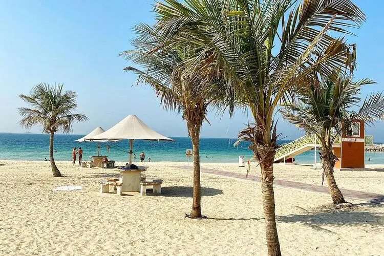 حديقة شاطئ الممزر: وجهتك المثالية للترفيه والاستجمام في دبي 14 كراسي الشاطئ والمظلات