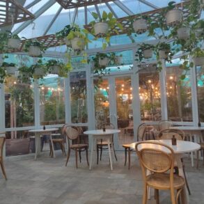 أغرب كوفي في دبي