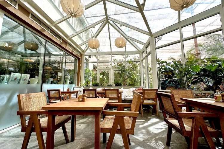 افضل مقهي مع حدائق خلابة في دبي 6 مقهى هارفست أند كو أفضل مقهى مع حدائق خلابة في دبي