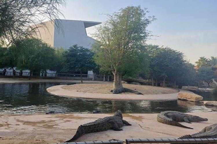 موقع حديقة التماسيح