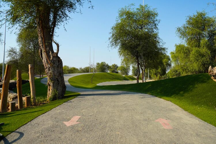 استكشف حديقة مشرف: جنة خضراء وأنشطة ترفيهية في قلب دبي 4 موقع حديقة مشرف