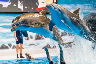 أفضل حديقة حيوانات في دبي