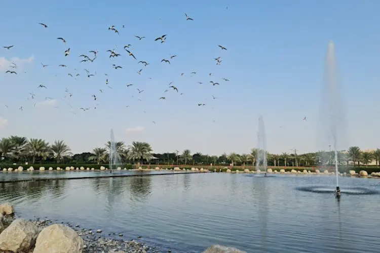 الحديقة القرانية في دبي: فريدة تجمع بين الطبيعة والروحانية 4 أقسام الحديقة القرانية في دبي