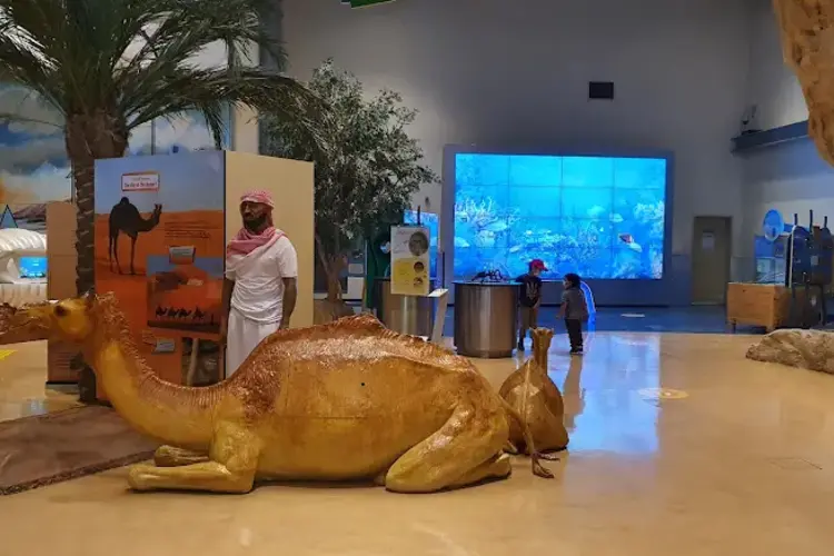 الأنشطة داخل مدينة الطفل بدبي