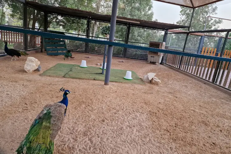  حديقة داماك هيلز من أفضل حدائق الحيوانات في دبي