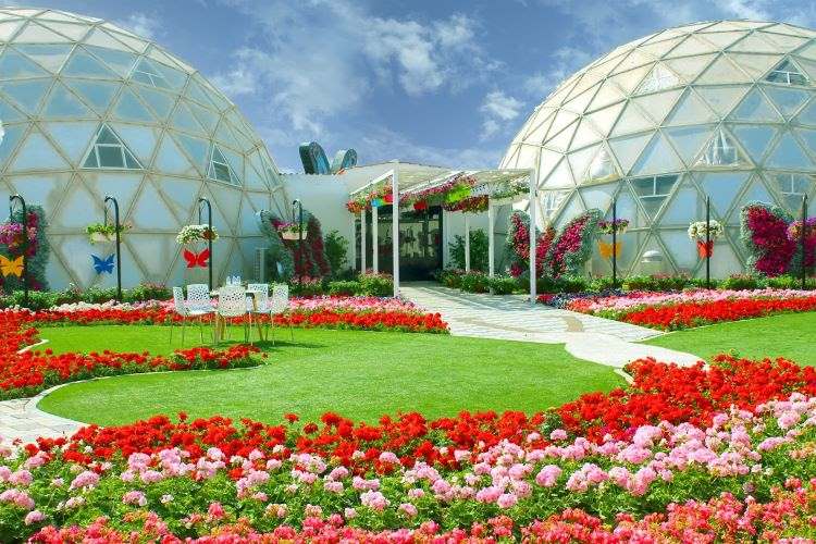 أسعار دخول حديقة الفراشات في دبي