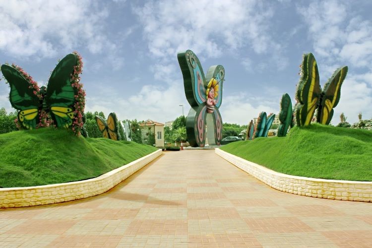 الأنشطة داخل حديقة الفراشات في دبي