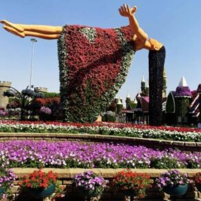 حديقة الفراشات دبي: تجربة ترفيهية مميزة 25 حديقة الفراشات في دبي