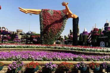 حديقة الفراشات في دبي