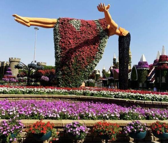 حديقة الفراشات في دبي