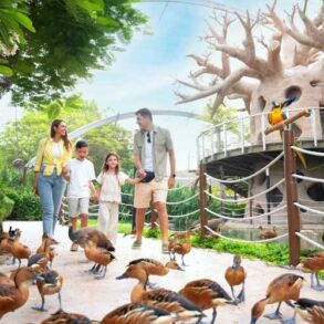 دبي سفاري بارك 24 حديقة دبي سفاري بارك