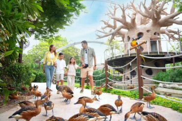 حديقة دبي سفاري بارك