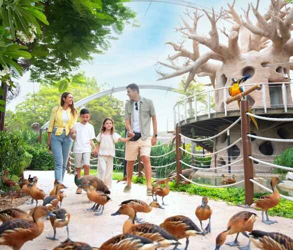 حديقة دبي سفاري بارك