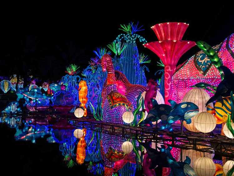 دبي جاردن جلو