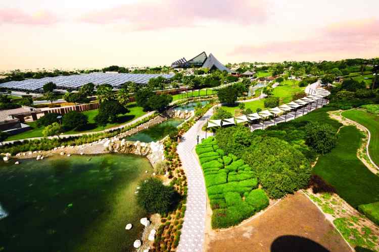 دبي سفاري بارك