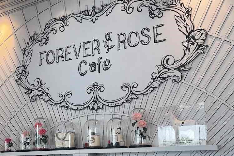 فوريفر روز كافيه أفضل مقهى مناسب للتصوير في دبي