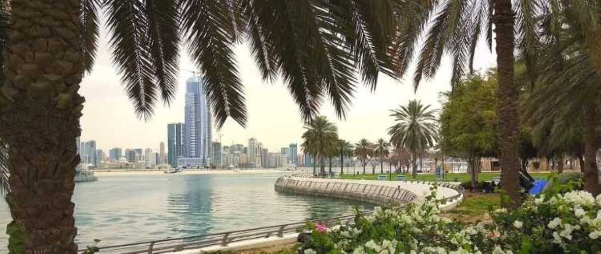 نبذة عن حديقة الممزر