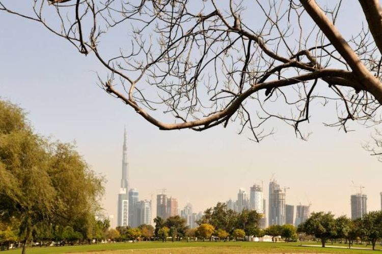 المعالم السياحية القريبة من فندق سويس أوتيل المروج دبي