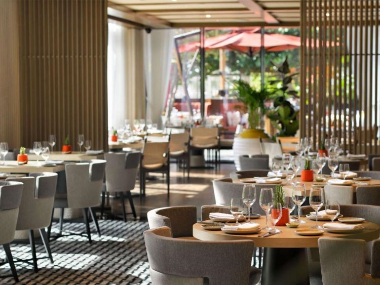 خيارات الطعام والمشروبات في فندق بانيان تري دبي