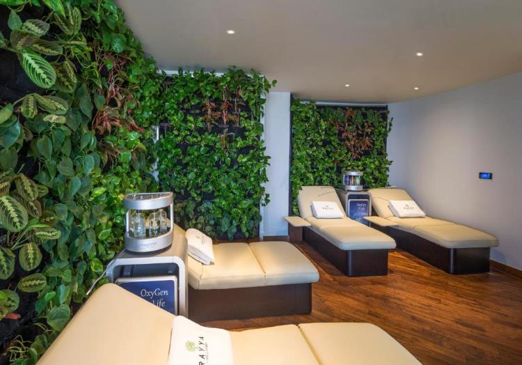 فندق ذا ريتريت بالم دبي إم غاليري - السبا..