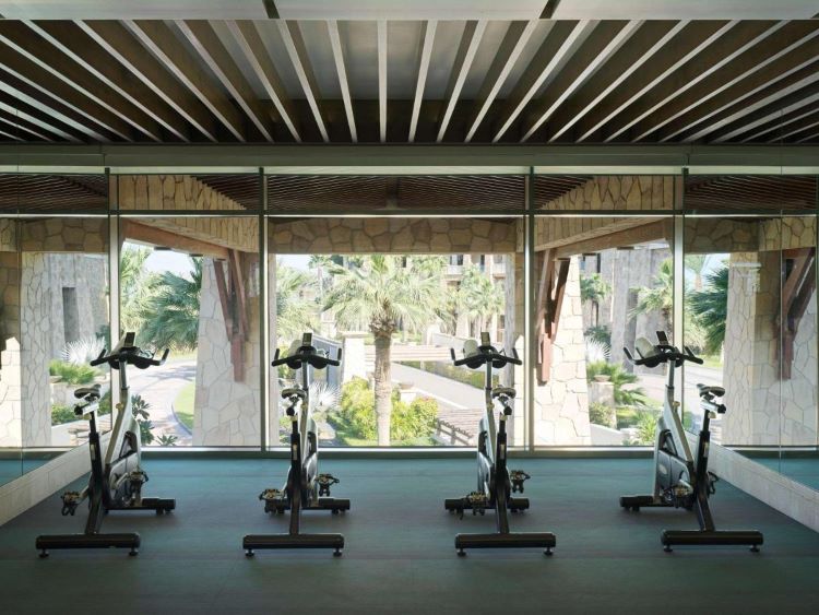 منتجع وسبا سوفيتيل دبي بالم- النادي الصحي