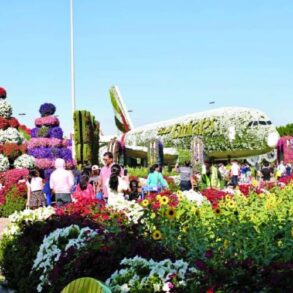 Dubai Miracle Garden